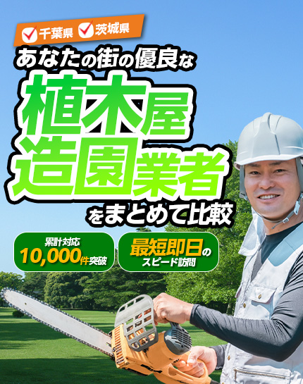 ファーストビュー画像SP